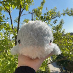 fluffy baby whale 