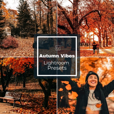 Autumn Blogger - LR Preset Pack