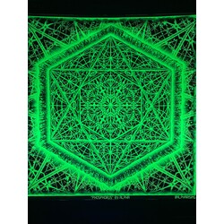 PHOSPHORUS-florasan yeşil duvar örtüsü 