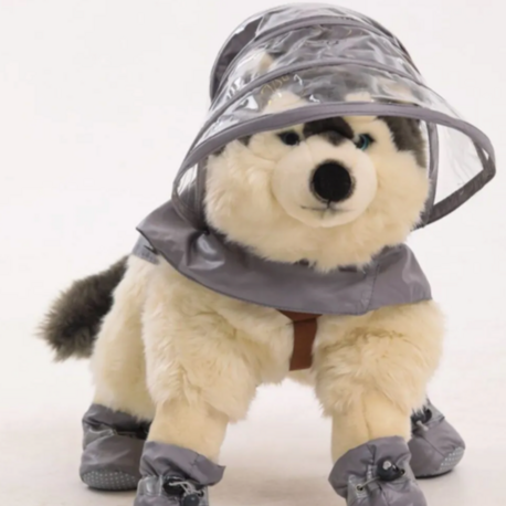 köpek Yağmurluk