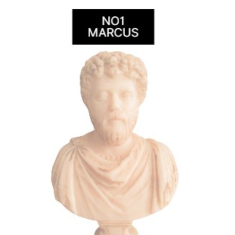 NO.1 MARCUS (Tek Renk)