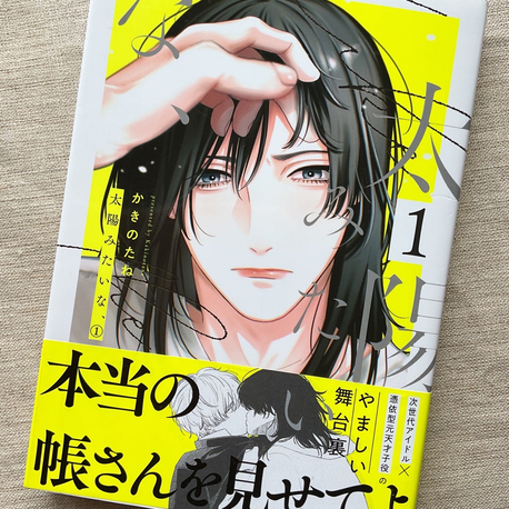 Taiyou Mitai na 