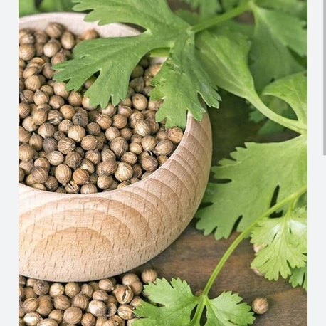 KİŞNİŞ (TANE) 500 GRAM