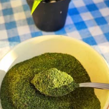 Kuru Nane (Yeni) 500 gr