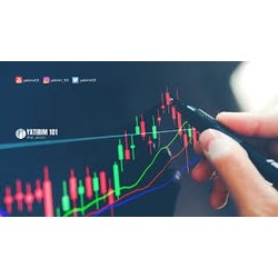 Borsa Teknik Analiz Eğitimi