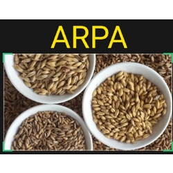 Kabuklu Arpa (kg.)