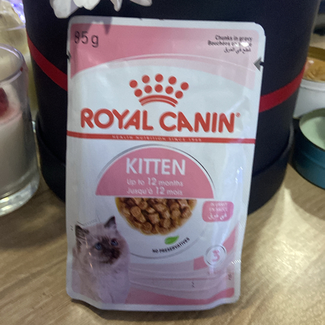Yavru kedi yaş mama