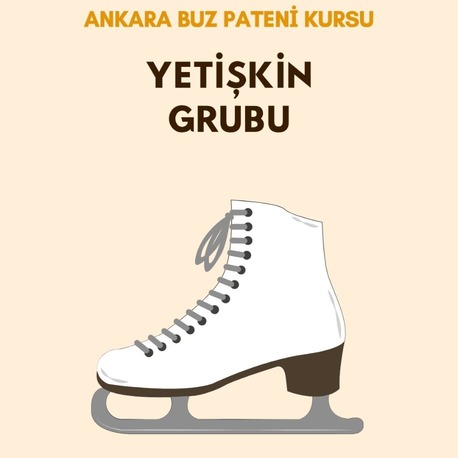 Yetişkin Grubu 