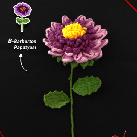 B Harfi (Barberton Papatyası) - İsme Özel Çiçek Alfabesi Buketi