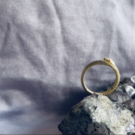 The Ouroboros Ring