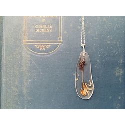 Centaury | Antigoni'18