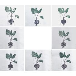 beets linolium print