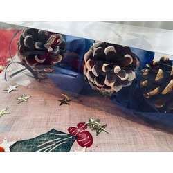 Cone Ornaments | Süs x3