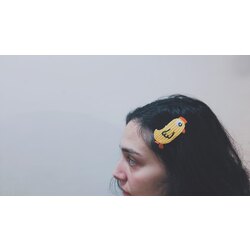 Chicks Hair Clips