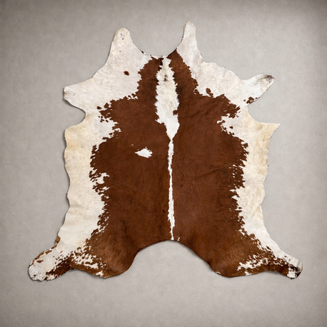 Vintage Cowhide Rug