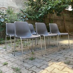 6 Adet Mauser Dining Chair  