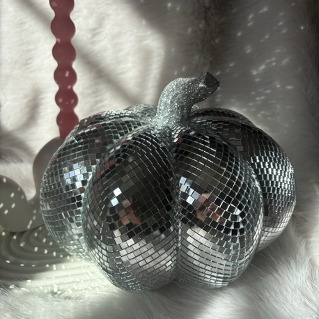 Disko Balkabağı-25 cm