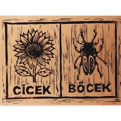 Çiçek Böçek