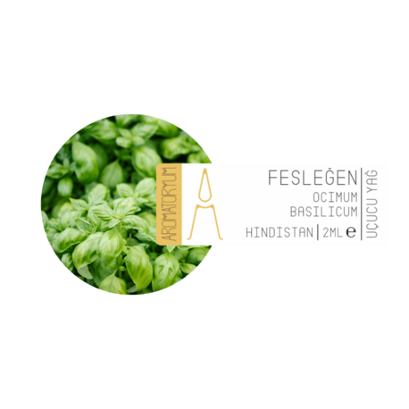 Fesleğen