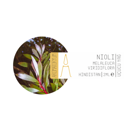 Nioli