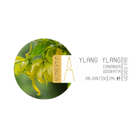 Ylang Ylang