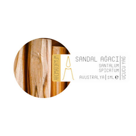 Sandal 