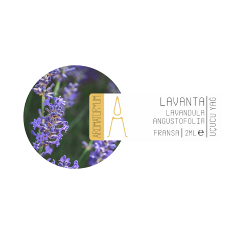 Lavanta (Tıbbi)