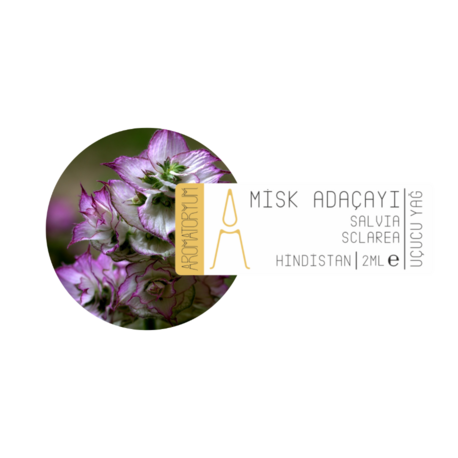Misk Adaçayı | Clary Sage
