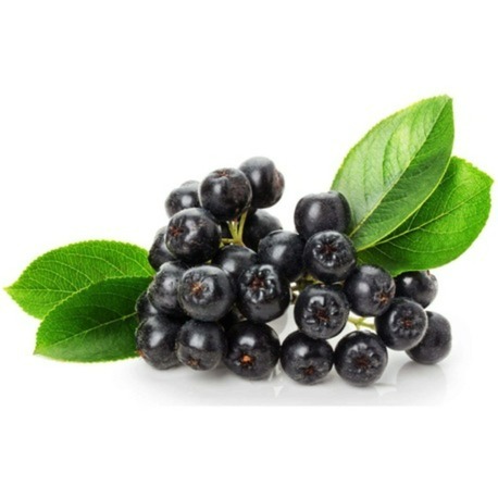 4 kg Taze Aronya (Ön Sipariş 05-15Eylül Teslimat) 