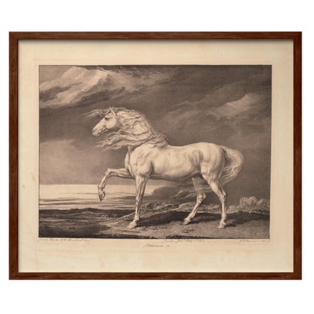 Adonis - James Ward