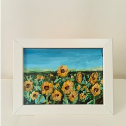 Field Limited Edition 