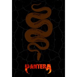 PANTERA - DIJITAL POSTER