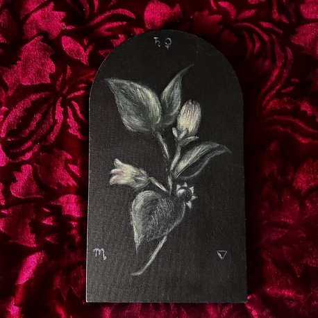 Belladonna Original Botanical Painting 