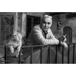 Cat Knows Everything Limited Edition Photography Print