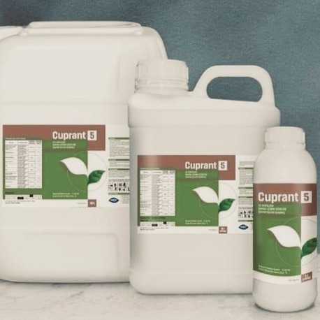 CUPRANT 5 1LT 