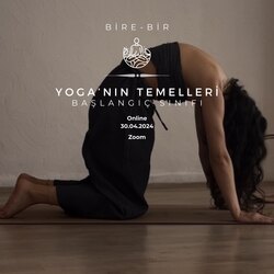 Yoga’nın Temelleri Başlangıç Sınıfı 