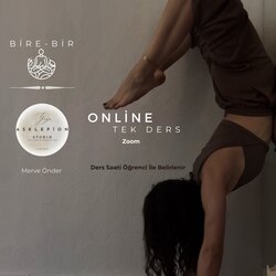 Online Tek Ders 