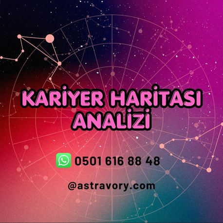 Kariyer Haritası Analizi