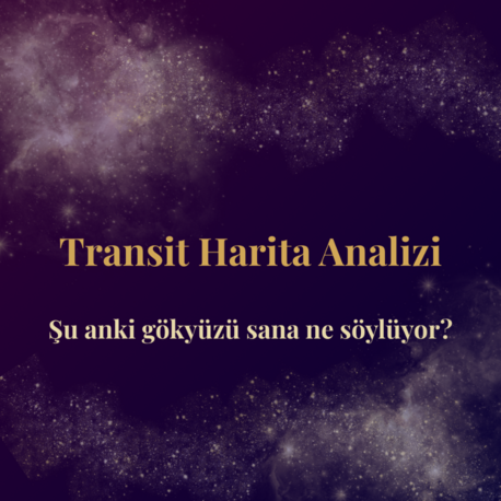 Transit Harita Danışmanlığı