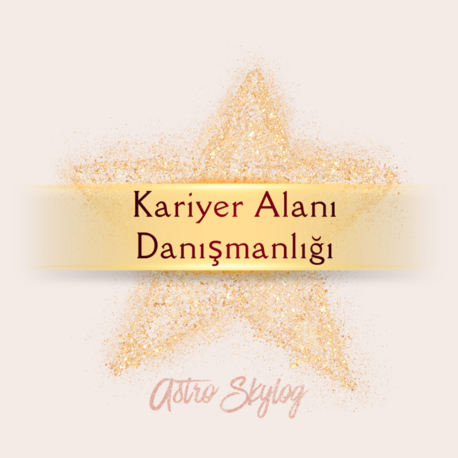 Kariyer Alanı Danışmanlığı