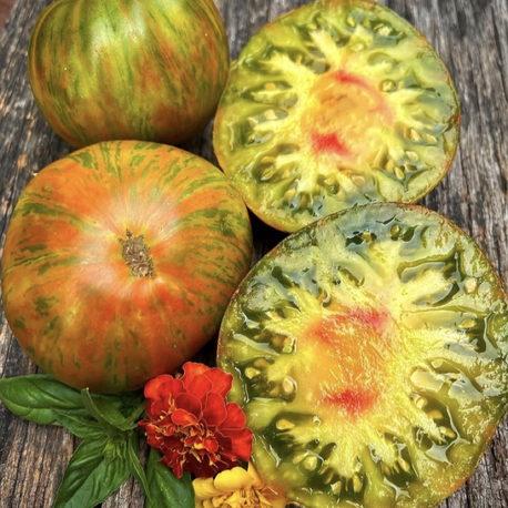 Berkeley Tie Dye Tomato