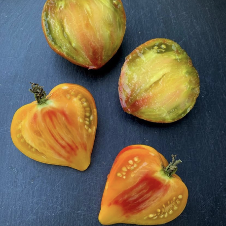 Orange Oxheart Tomato