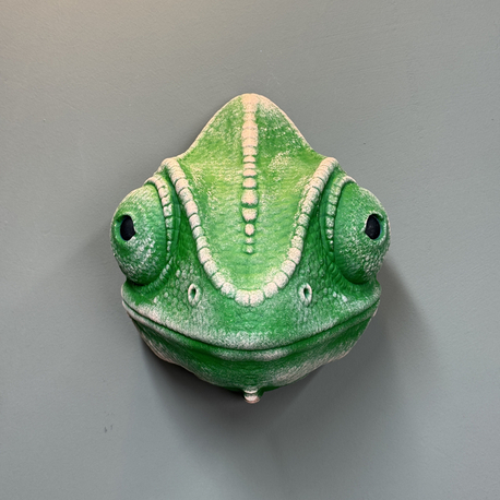 Chameleon Wall Mask