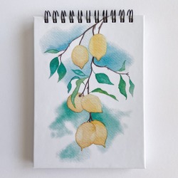 Limon A6 Spiralli Defter