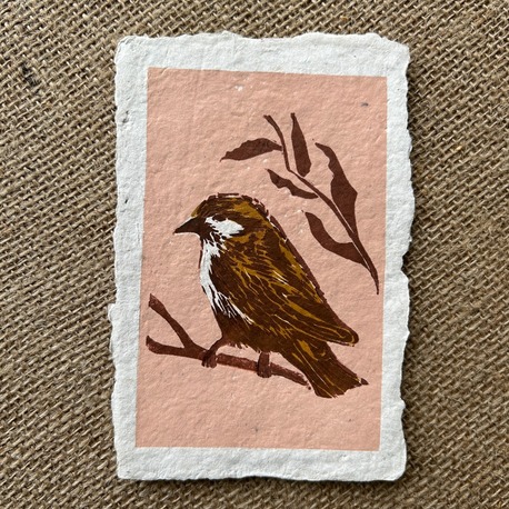 Sparrow