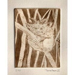 Untitled - Tomris İrem Gündoğdu