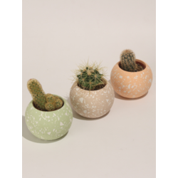 Yuvarlak Beton 3'Lü Terrazo Saksı Set-Sukulent,Kaktüs Saksısı (Çiçeksiz) - (Set-1)