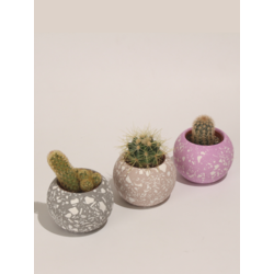 Yuvarlak Beton 3'Lü Terrazo Saksı Set-Sukulent,Kaktüs Saksısı (Çiçeksiz) - (Set-3)