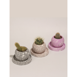 Terrazo Yuvarlak Beton 3'Lü Tabaklı Saksı Set-Sukulent,Kaktüs Saksısı (Çiçeksiz)-(Set-3)