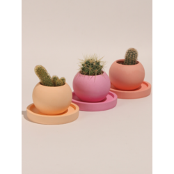 Renkli Dekoratif Yuvarlak Beton 3'Lü Tabaklı Saksı Set-Sukulent,Kaktüs Saksısı (Çiçeksiz) - (Set-5)